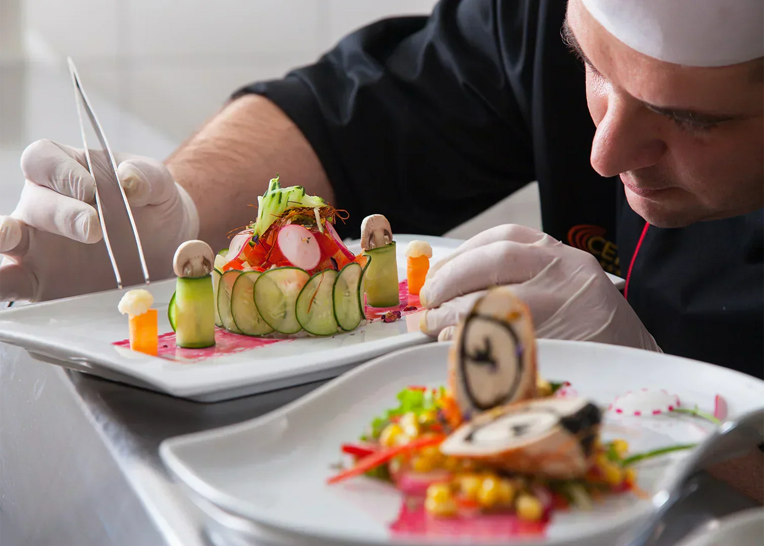 Culinary & Gourmet - Herbuno