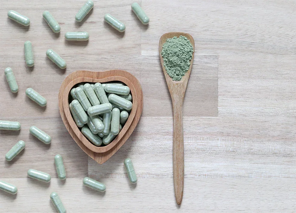 Fruit Extract Powder - Herbuno