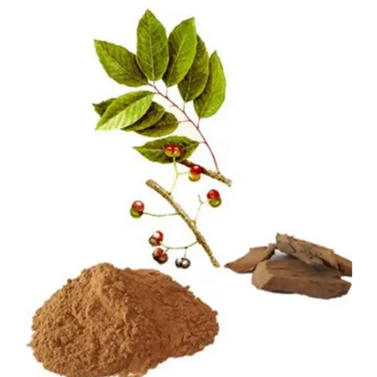 African Cherry Bark (Pygeum Africanum) Extract Powder - Herbuno.Com