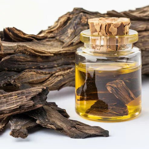 Agarwood Liquid Extract (Water Soluble) - Aquilaria malaccensis - Bulk Supplier India - shop_name