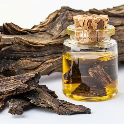 Agarwood (Oud) Extract Powder - Aquilaria malaccensis - Herbuno.Com