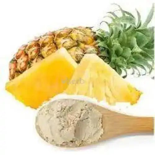 Ananas comosus Pineapple Bromelain Extract Powder - Bulk Supplier India - shop_name