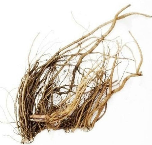 Apamarg Root Extract Powder - Achyranthes Aspera - Herbuno.Com