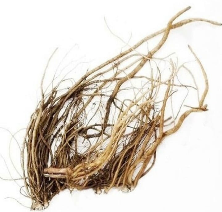 Apamarg Root Extract Powder - Achyranthes Aspera - Herbuno.Com