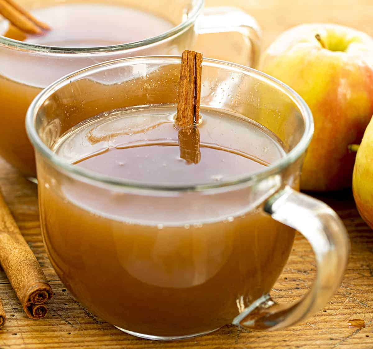 Apple Cider Vinegar Powder - Malus domestica - Herbuno.Com