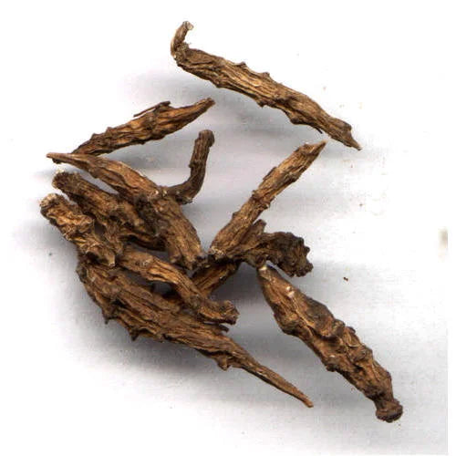 Atish (Ativisha) Root Extract Powder - Aconitum heterophyllum - Herbuno.Com