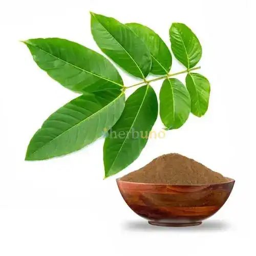 Banaba Leaf Extract Powder - Herbuno.Com