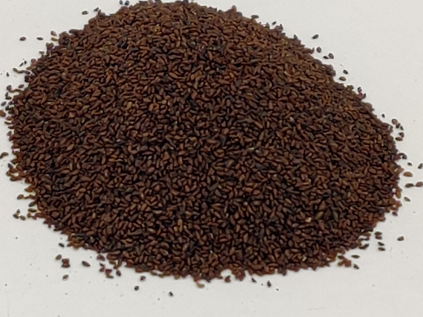 Bartang (Barhang) Seed Extract Powder - Plantago major - Herbuno.Com