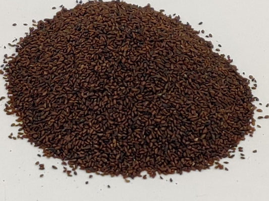 Bartang (Barhang) Seed Extract Powder - Plantago major - Herbuno.Com