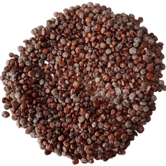 Bathua Seed Liquid Extract (Water Soluble) - Chenopodium album - Bulk Supplier India - shop_name