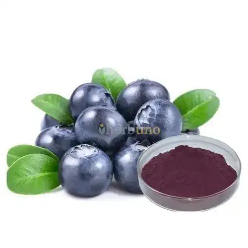 Bilberry Extract Powder - Herbuno.Com