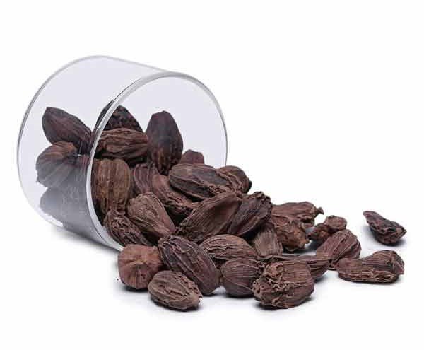 Black Cardamom Liquid Extract (Water Soluble) - Amomum subulatum Roxb - Bulk Supplier India - shop_name