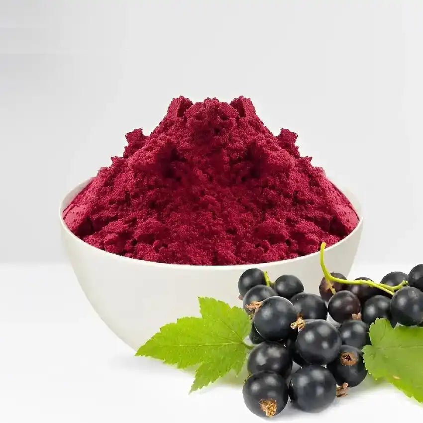 Black - Currant Powder - Bulk Supplier India - shop_name