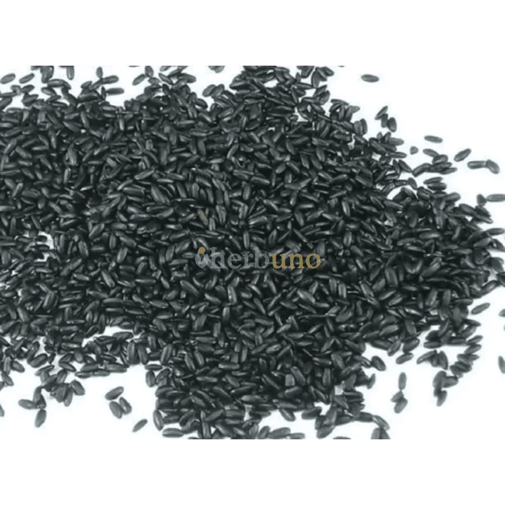 Black Rice Extract — Oryza sativa - Bulk Supplier India - shop_name