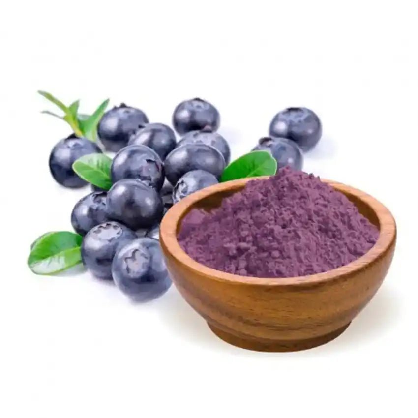 Blueberry Extract Powder - Vaccinium corymbosum - Bulk Supplier India - shop_name