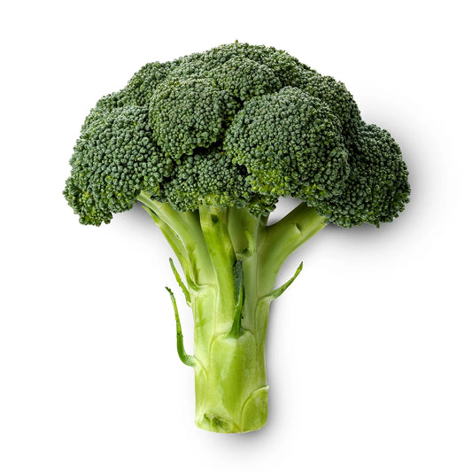 Broccoli Extract Powder - Brassica oleracea - Herbuno.Com