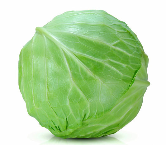 Green cabbage on a white background