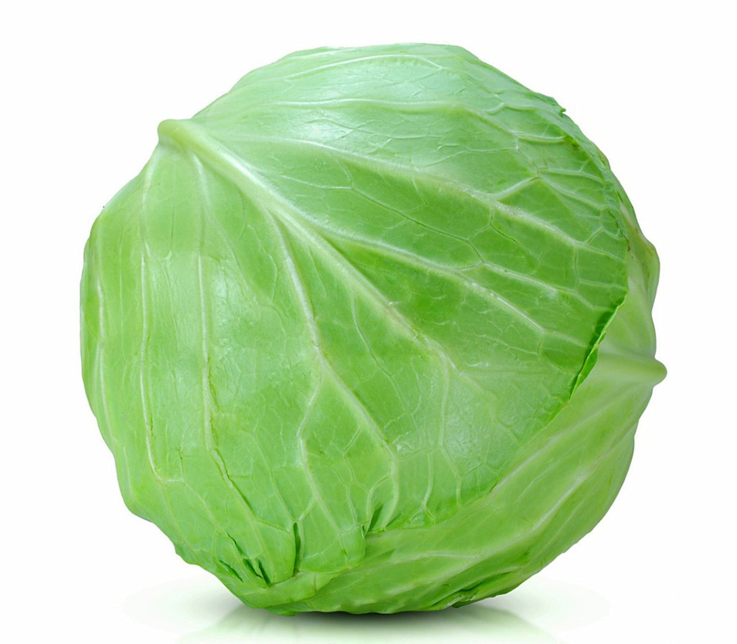 Green cabbage on a white background