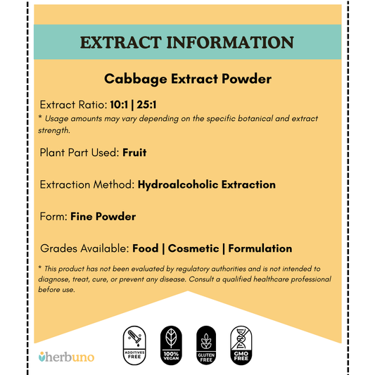 Cabbage Extract Powder - Brassica oleracea - Herbuno.Com