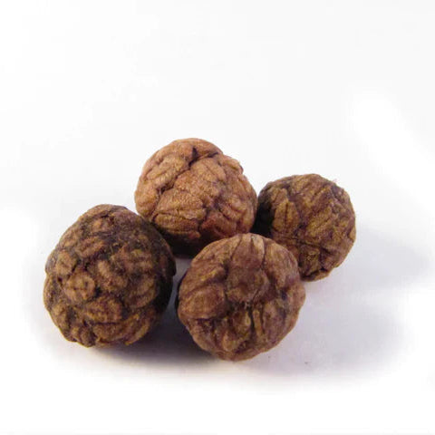 Cao Dou Kou Seed Extract Powder - Alpinia katsumadai - Herbuno.Com