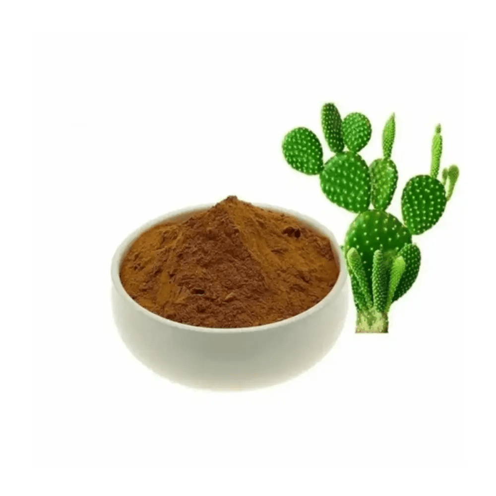 Caralluma Fimbriata Extract Powder - Bulk Supplier India - shop_name
