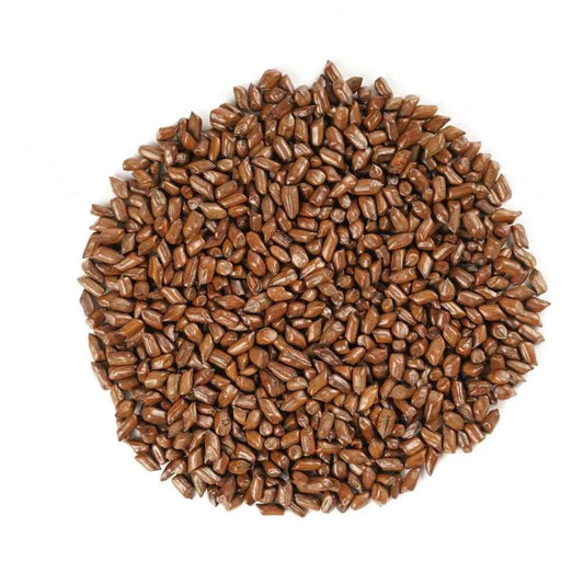 Cassia Tora Extract Powder - Senna tora - Herbuno.Com