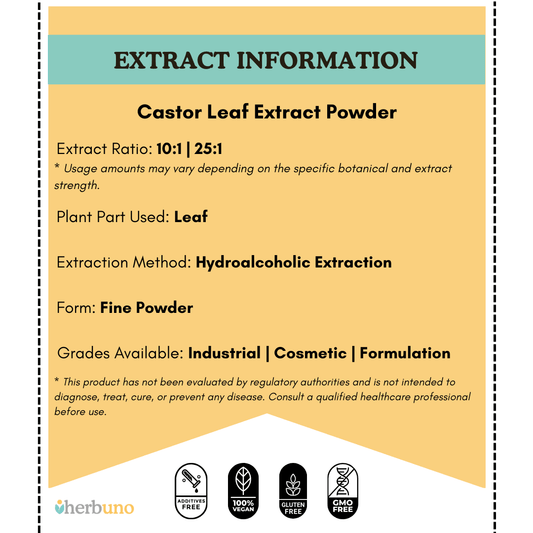 Castor Leaf Extract Powder - Ricinus Communis Linn - Herbuno.Com