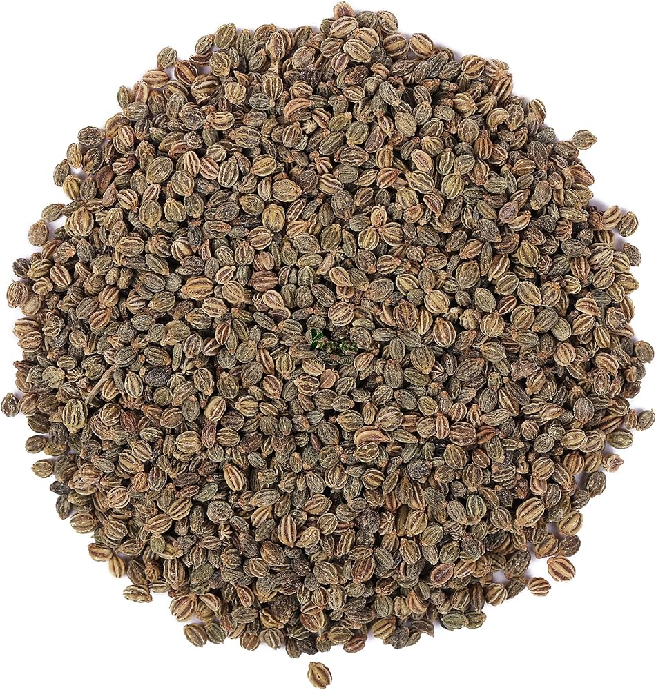 Celery Seed Extract Powder - Apium graveolens - Bulk Supplier India - shop_name