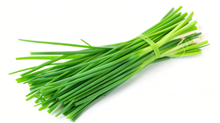 Chive Extract Powder - Allium schoenoprasum - Herbuno.Com