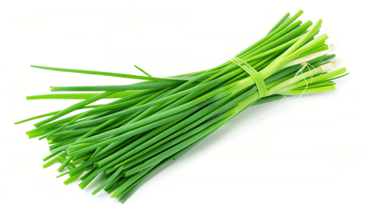 Chive Extract Powder - Allium schoenoprasum - Herbuno.Com