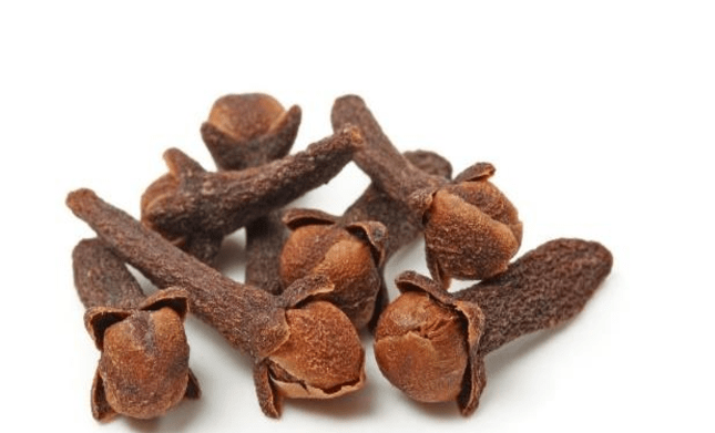 Clove Liquid Extract (Water Soluble) - Syzygium aromaticum - Bulk Supplier India - shop_name