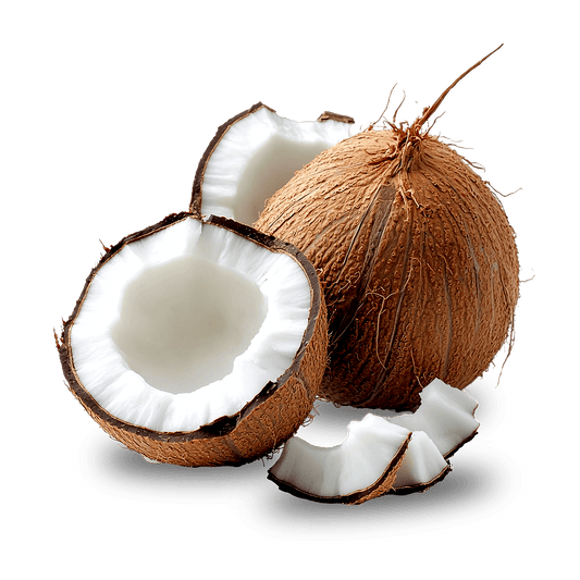 Coconut Milk Powder - Vegan & Creamy - Herbuno.Com