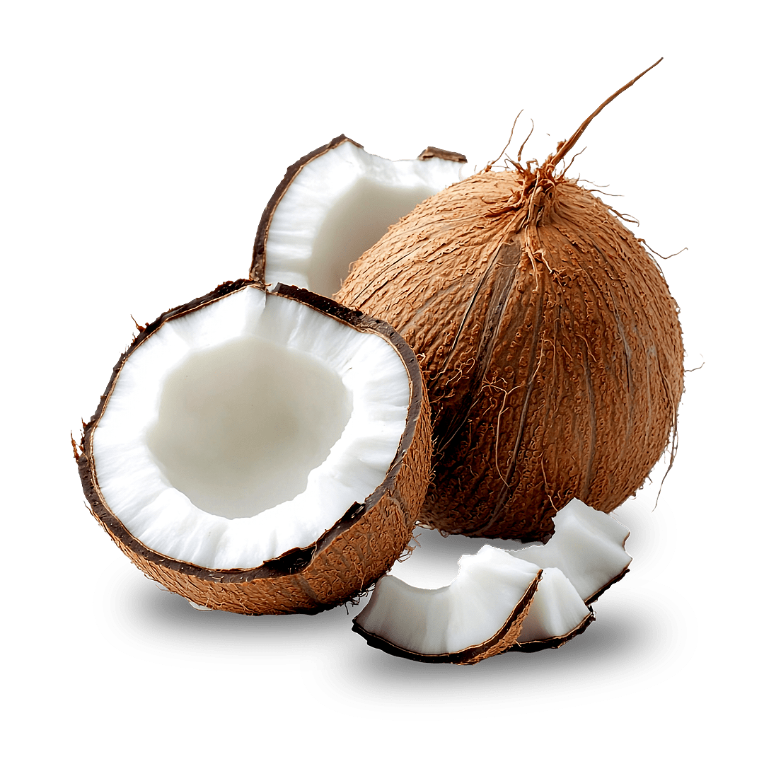 Coconut Liquid Extract (Water Soluble) - Cocos nucifera L - Bulk Supplier India - shop_name