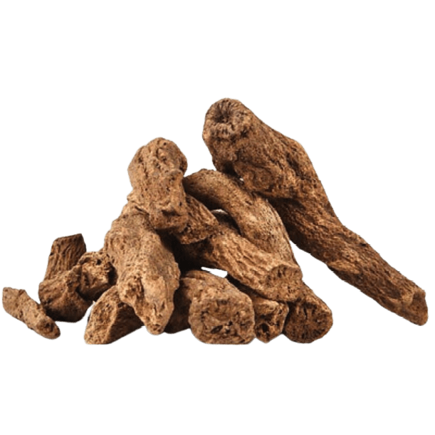 Costus Root Liquid Extract (Water Soluble) - Saussurea Lappa - Bulk Supplier India - shop_name