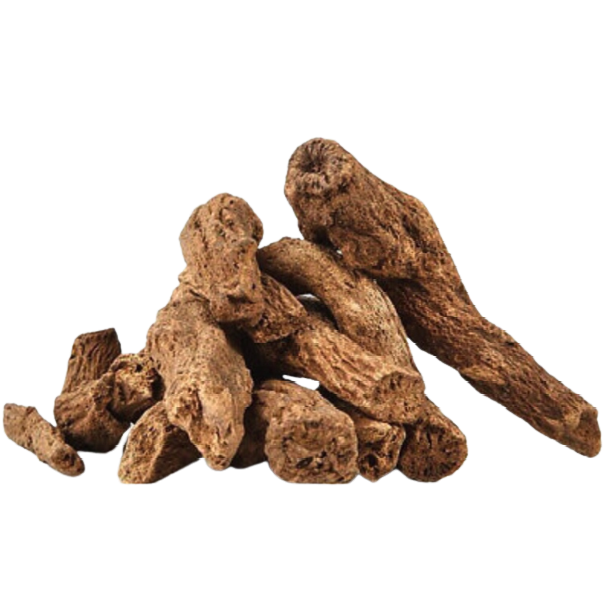 Costus Root Extract Powder - Saussurea Lappa - Herbuno.Com