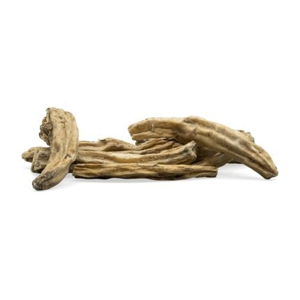 Bala Root Liquid Extract (Water Soluble) - Sida cordifolia - Bulk Supplier India - shop_name