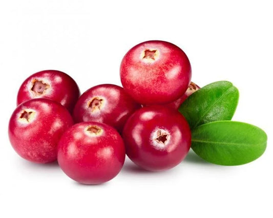 Cranberry Extract Powder - Vaccinium macrocarpon - Herbuno.Com