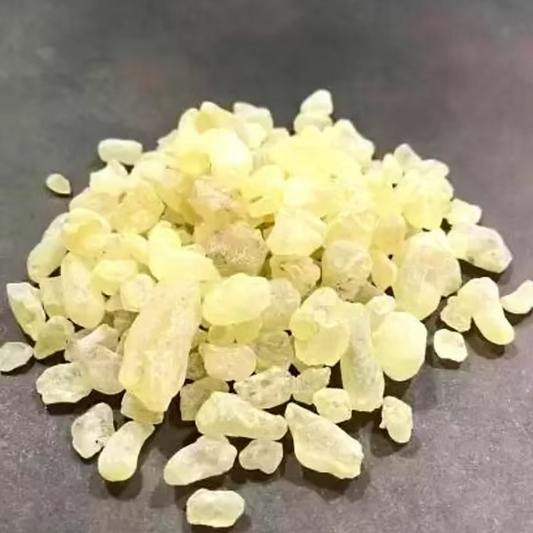 Damar Gum Extract Powder - Shorea robusta - Herbuno.Com