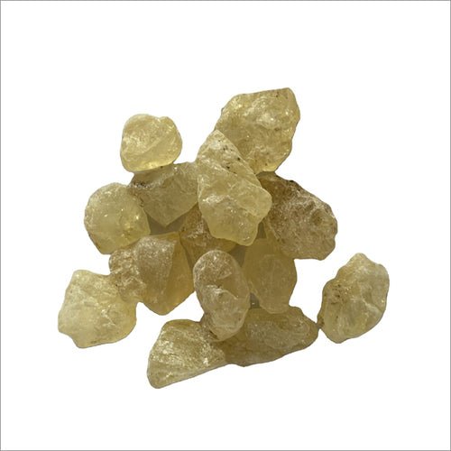 Damar Gum Liquid Extract (Water Soluble) - Shorea robusta - Bulk Supplier India - shop_name