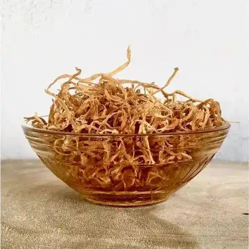 Dehydrated Bamboo Shoots - Bambusa vulgaris - Herbuno.Com