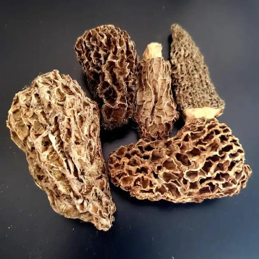 Dehydrated Morel Mushrooms - Gourmet Umami Flavor - Herbuno.Com