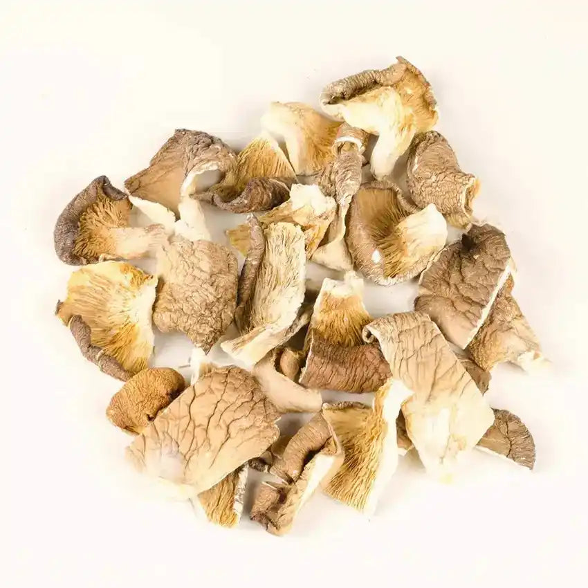 Dehydrated Oyster Mushrooms - Umami Flavor Boost - Herbuno.Com