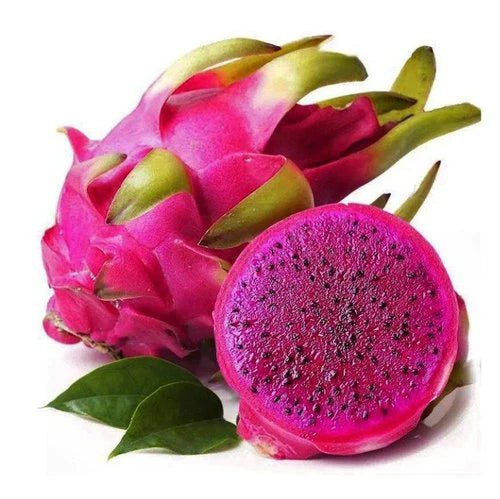 Dragon Fruit Liquid Extract (Water Soluble) - Selenicereus undatus - Bulk Supplier India - shop_name