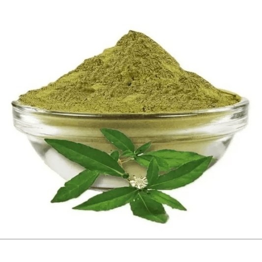 Eclipta prostrata (Bhringraj) Extract Powder - Bulk Supplier India - shop_name