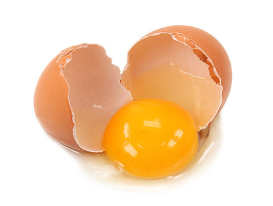 Egg IgY Powder - Gallus gallus domesticus - Herbuno.Com