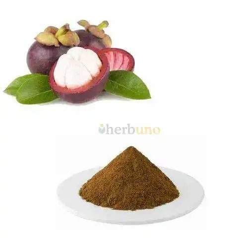 Garcinia mangostana (Mangosteen) Extract Powder - Bulk Supplier India - shop_name