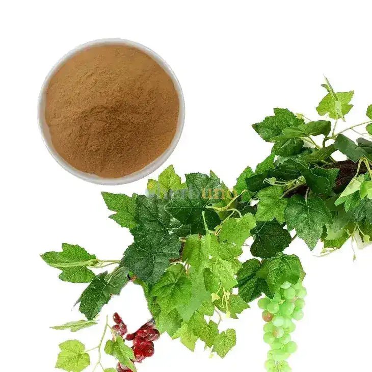 Grape Leaf Extract Powder - Bulk Supplier India - shop_name