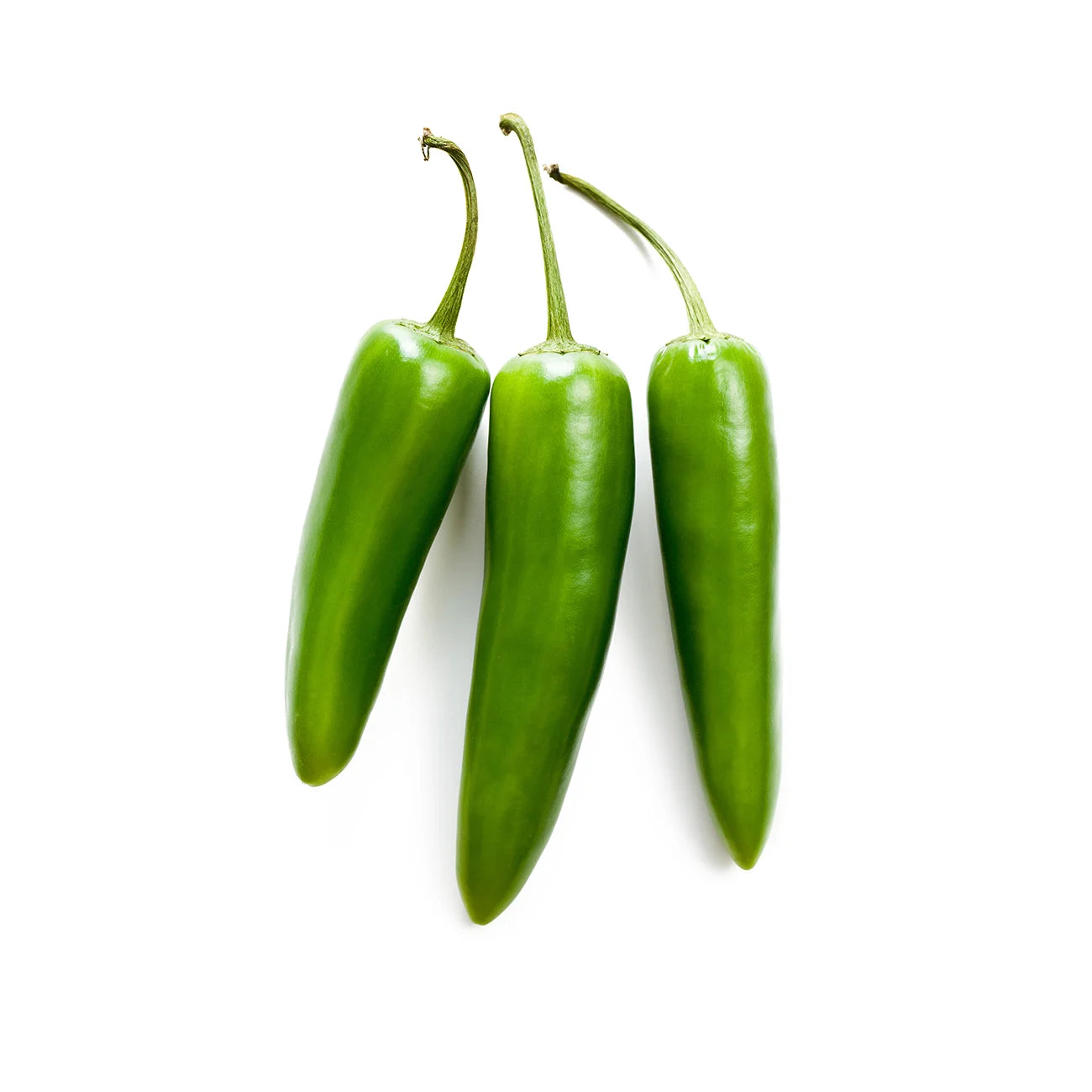 Green Chilli Extract Powder - Capsicum annuum - Herbuno.Com