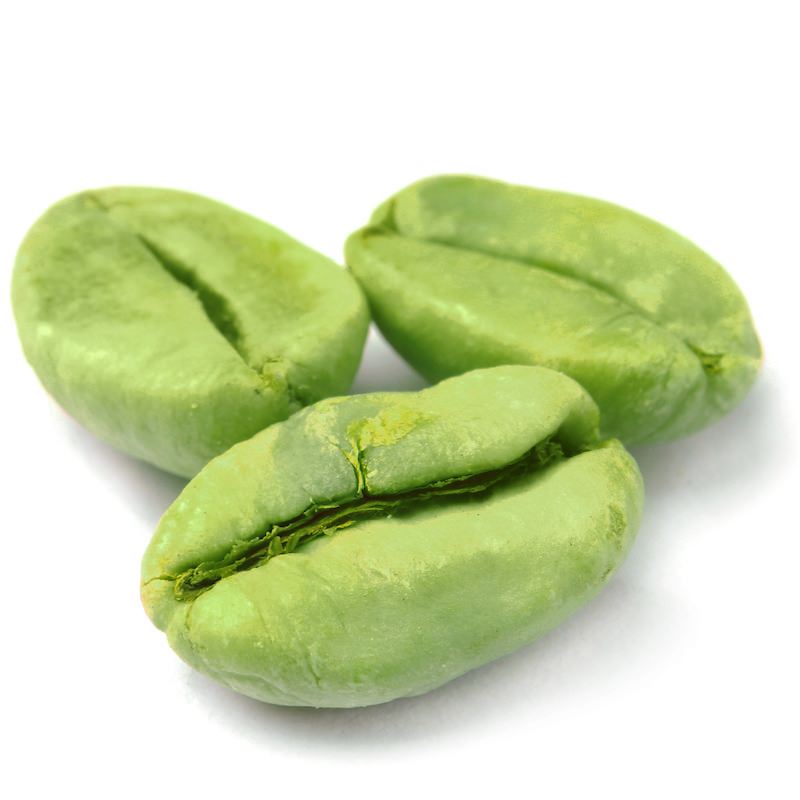 Green Coffee Extract Powder - Coffea arabica - Herbuno.Com