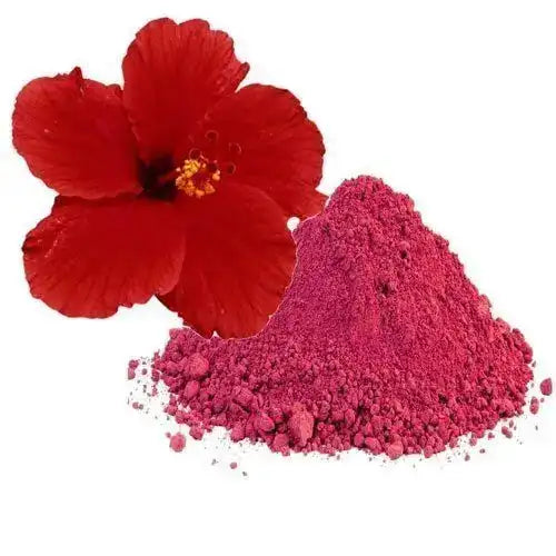 Hibiscus Extract Powder - Herbuno.Com